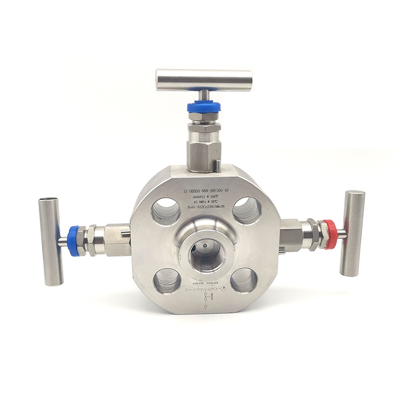Double Block & Bleed Monoflange Valve (2)