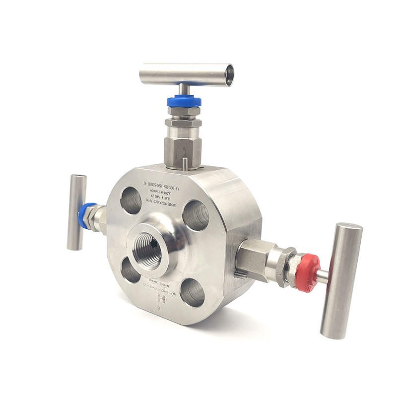 Double Block & Bleed Monoflange Valve (3)