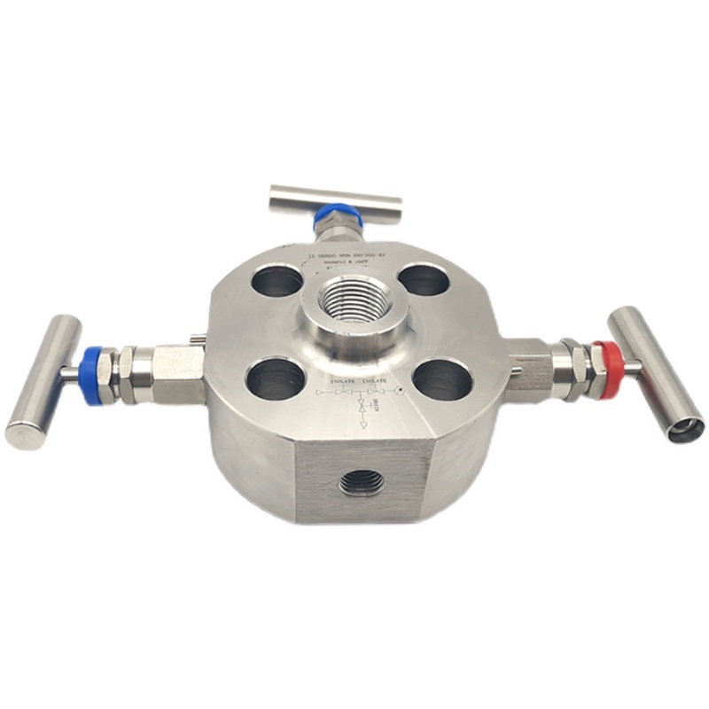 Double Block & Bleed Monoflange Valve (5)